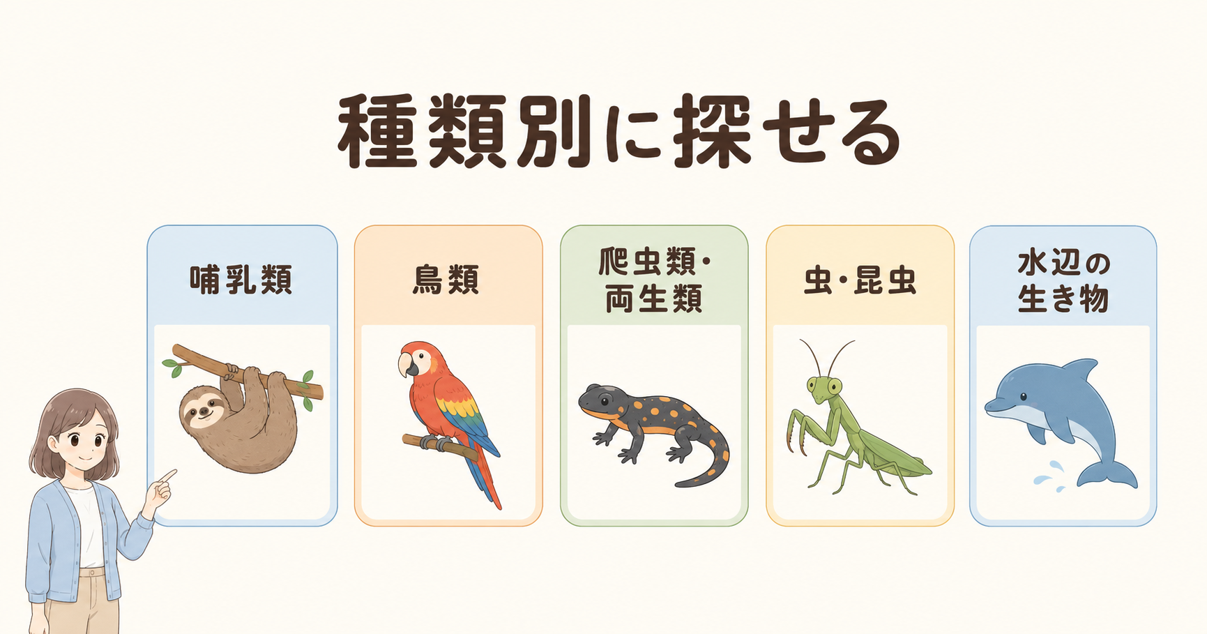 哺乳類・鳥類・爬虫類・両生類・虫・水辺の生き物の分類図