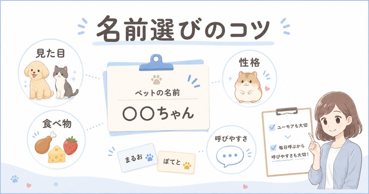 見た目・性格・食べ物・呼びやすさからペットの名前を考えるポイント