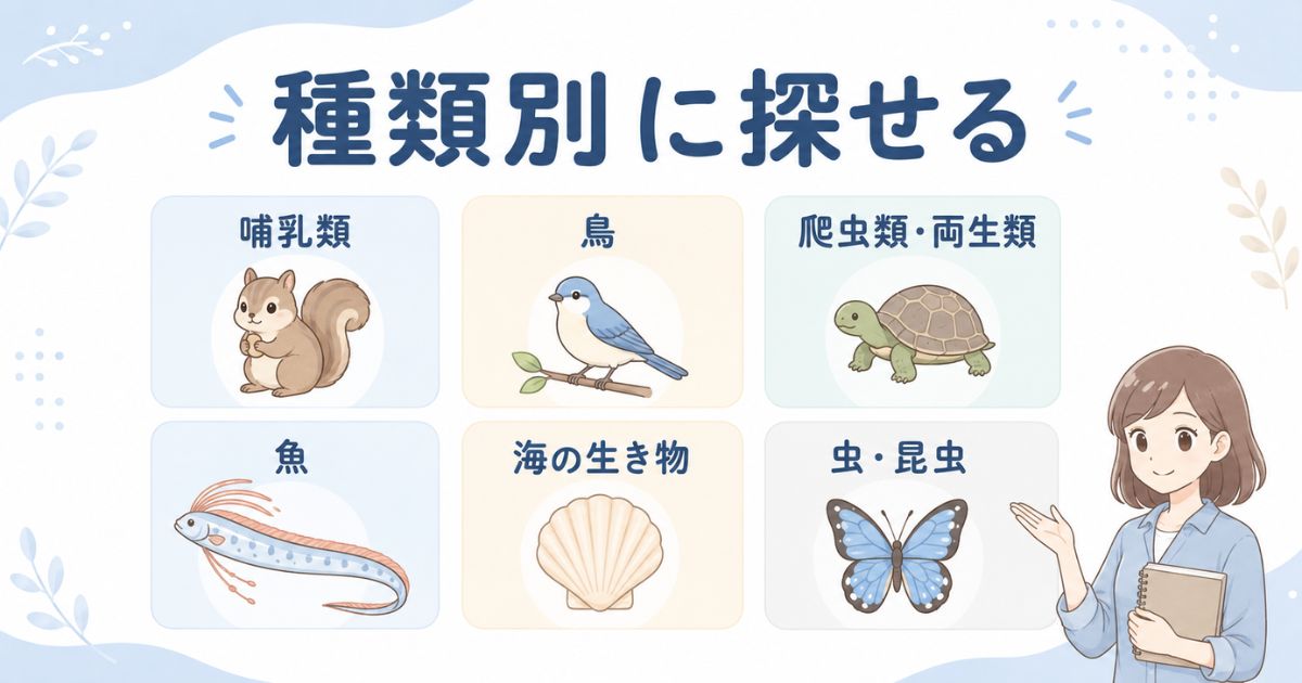 「り」から始まる動物を哺乳類、鳥、魚、虫など6分類で示した図解