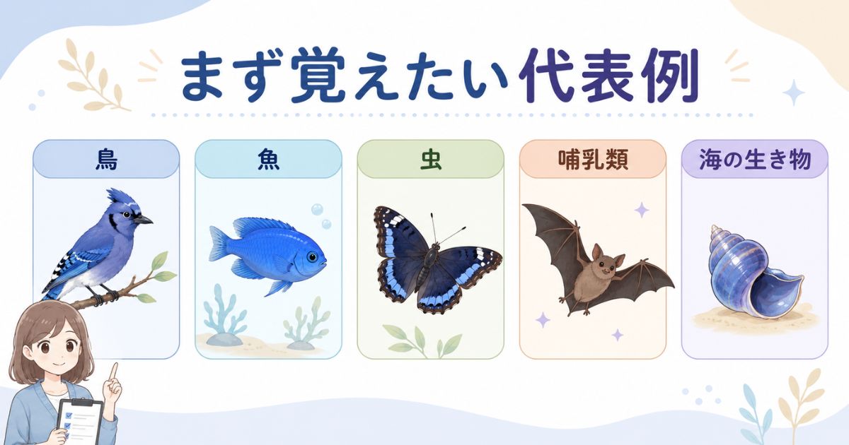 「る」から始まる動物を鳥・魚・虫・哺乳類・海の生き物に分けた代表例