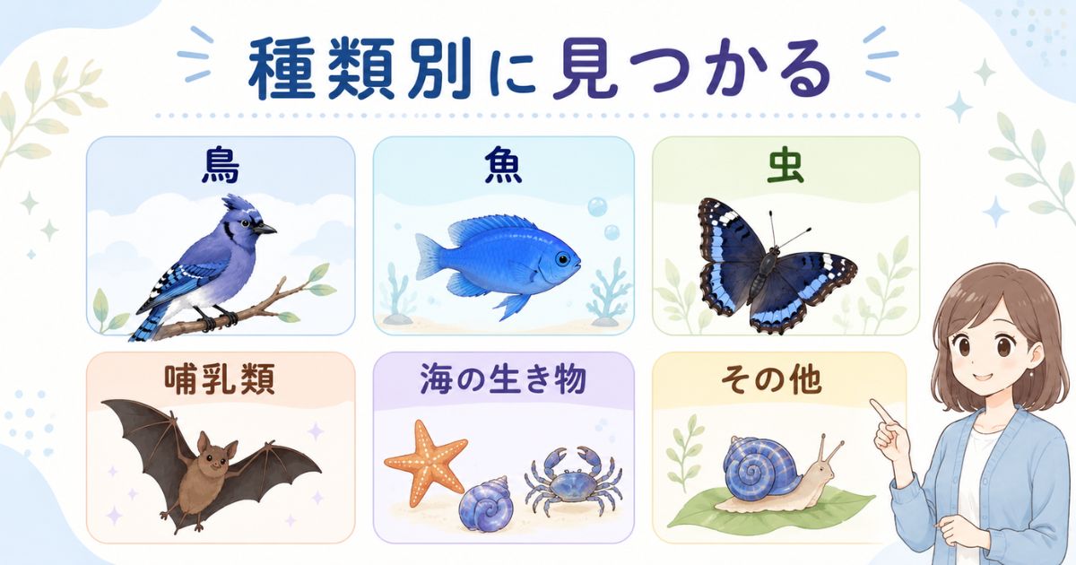 「る」から始まる動物や生き物を種類別に整理した分類図