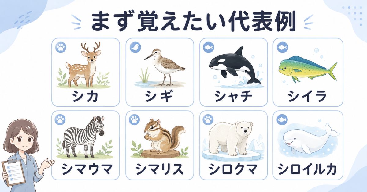 「し」から始まる代表的な動物を一覧カードで紹介