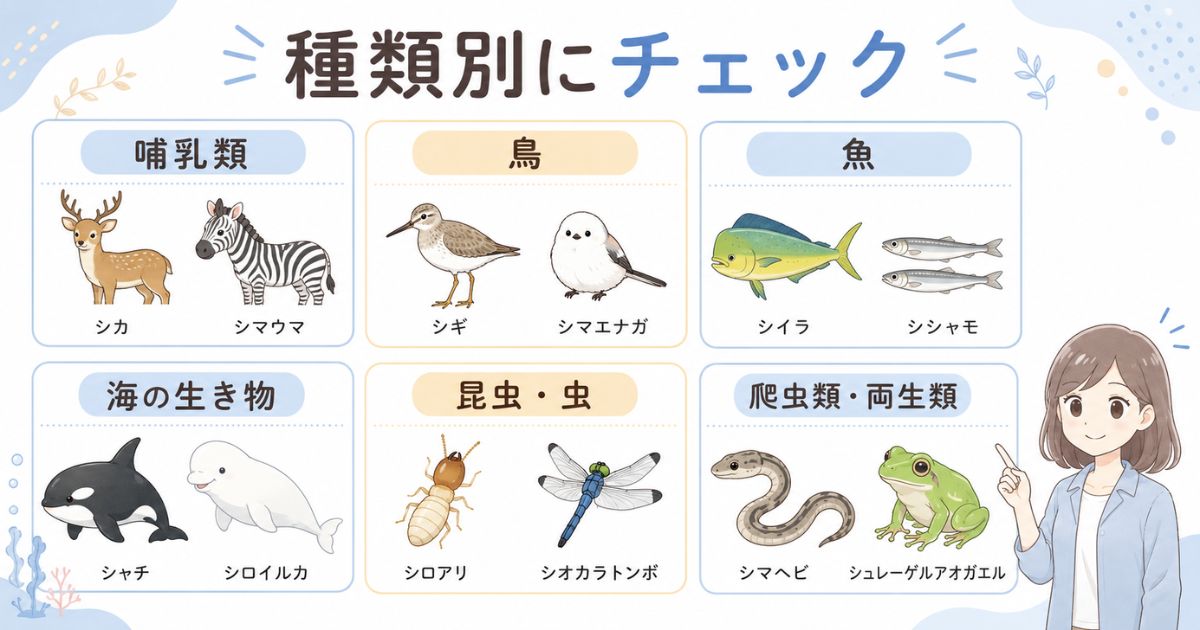 「し」から始まる動物・生き物を哺乳類・鳥・魚・虫などに分類