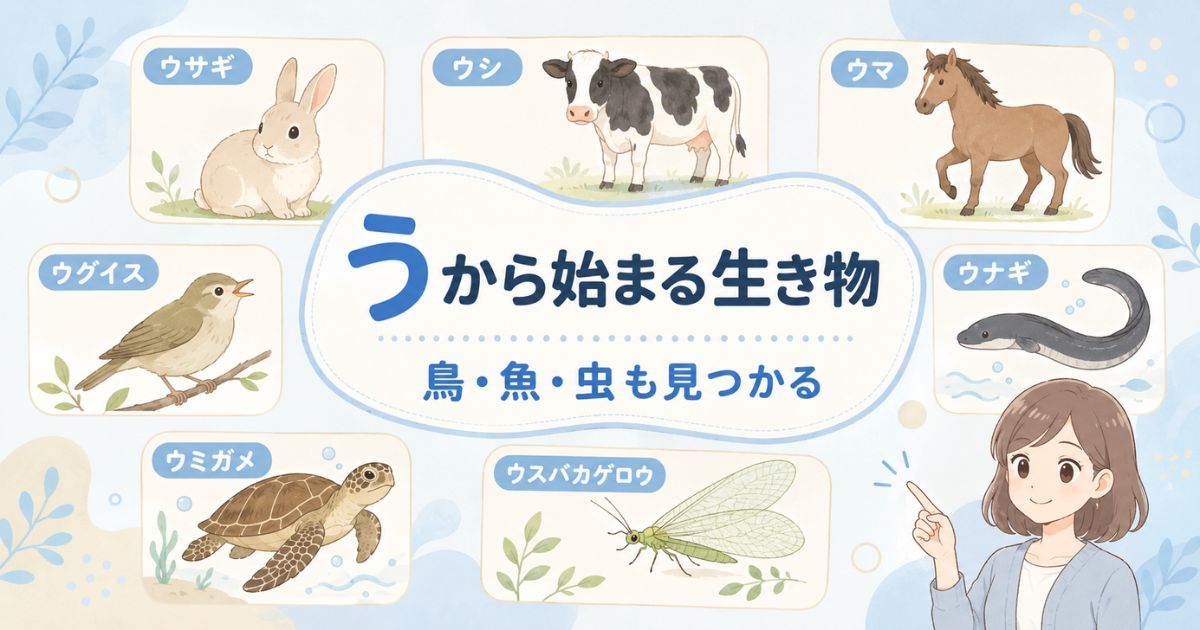 うから始まる動物や鳥・魚・虫の代表例をまとめたアイキャッチ