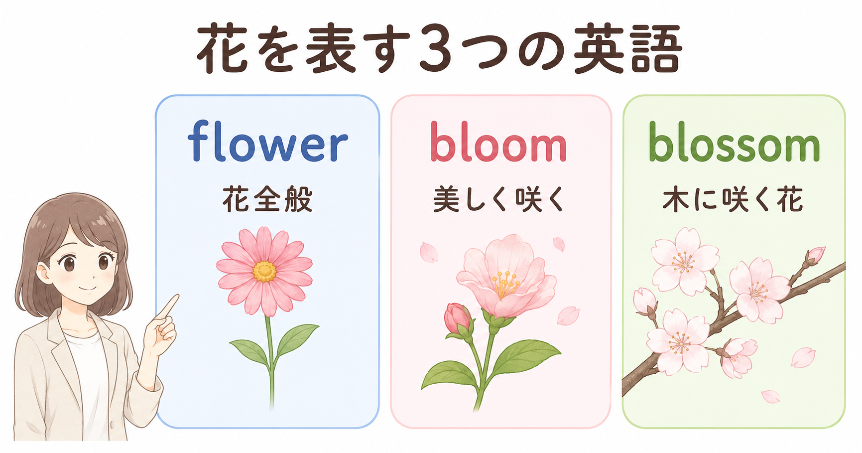 flower・bloom・blossomの意味と使い分けを比較した図解