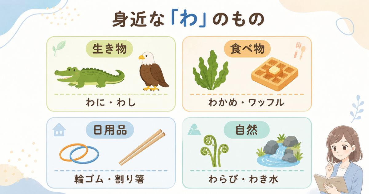 「わ」から始まる身近なものを生き物・食べ物・日用品・自然に分けた図解